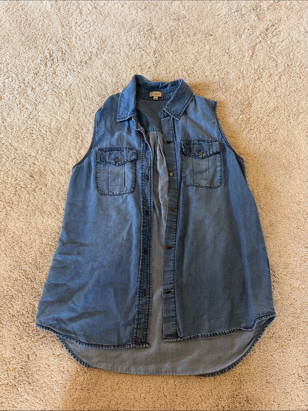 Daniel Cremieux Sleeveless Denim Button-Down Shirt - Blue